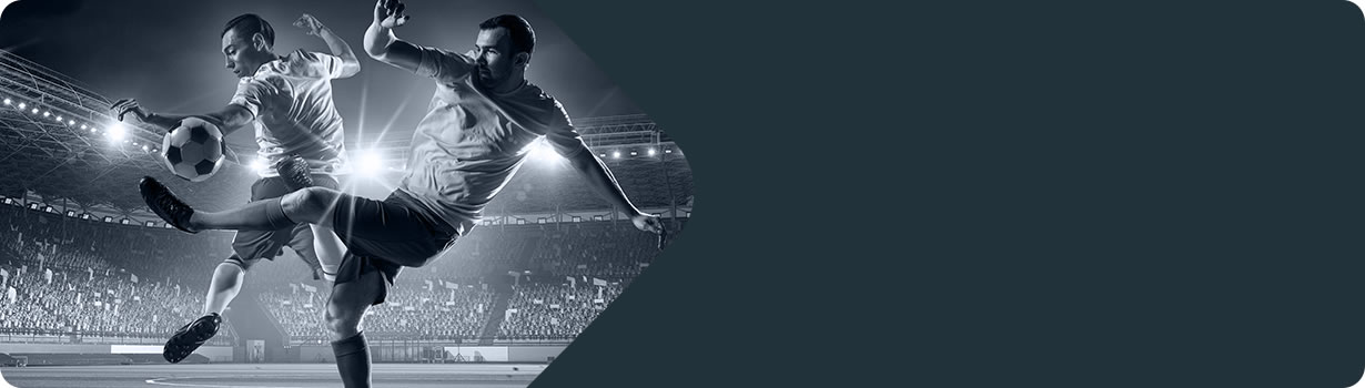 sudoku puzzles download
